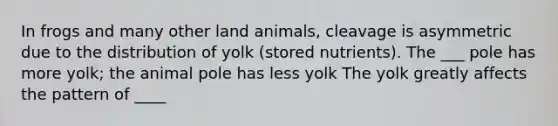 In frogs and many other land animals, cleavage is asymmetric due to the distribution of yolk (stored nutrients). The ___ pole has more yolk; the animal pole has less yolk The yolk greatly affects the pattern of ____