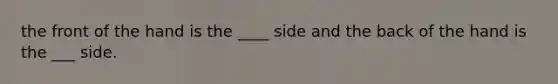 the front of the hand is the ____ side and the back of the hand is the ___ side.