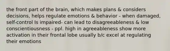 the front part of the brain, which makes plans & considers decisions, helps regulate emotions & behavior - when damaged, self-control Is impaired- can lead to disagreeableness & low conscientiousness - ppl. high in agreeableness show more activation in their frontal lobe usually b/c excel at regulating their emotions