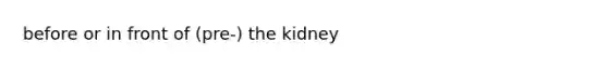 before or in front of (pre-) the kidney