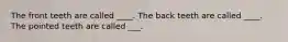 The front teeth are called ____. The back teeth are called ____. The pointed teeth are called ___.