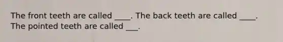 The front teeth are called ____. The back teeth are called ____. The pointed teeth are called ___.