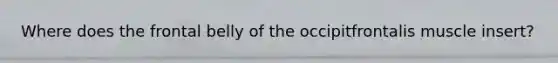 Where does the frontal belly of the occipitfrontalis muscle insert?