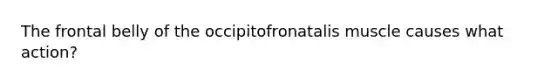 The frontal belly of the occipitofronatalis muscle causes what action?