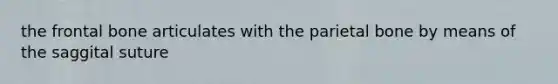 the frontal bone articulates with the parietal bone by means of the saggital suture
