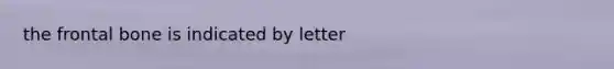the frontal bone is indicated by letter