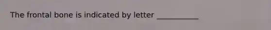 The frontal bone is indicated by letter ___________