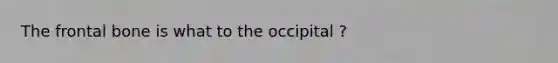 The frontal bone is what to the occipital ?