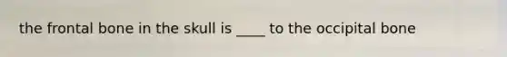 the frontal bone in the skull is ____ to the occipital bone
