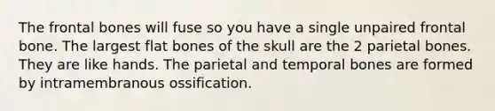 The frontal bones will fuse so you have a single unpaired frontal bone. The largest flat bones of the skull are the 2 parietal bones. They are like hands. The parietal and temporal bones are formed by intramembranous ossification.