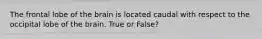 The frontal lobe of the brain is located caudal with respect to the occipital lobe of the brain. True or False?