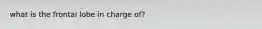 what is the frontal lobe in charge of?