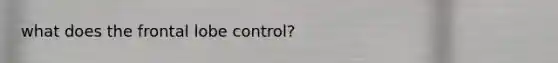 what does the frontal lobe control?