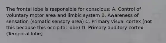 The frontal lobe is responsible for conscious: A. Control of voluntary motor area and limbic system B. Awareness of sensation (somatic sensory area) C. Primary visual cortex (not this because this occipital lobe) D. Primary auditory cortex (Temporal lobe)