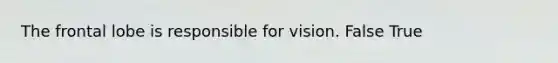 The frontal lobe is responsible for vision. False True