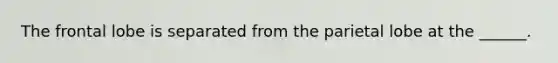 The frontal lobe is separated from the parietal lobe at the ______.
