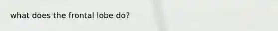 what does the frontal lobe do?