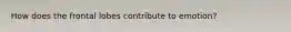How does the frontal lobes contribute to emotion?