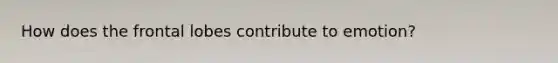 How does the frontal lobes contribute to emotion?