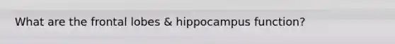 What are the frontal lobes & hippocampus function?