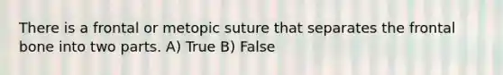 There is a frontal or metopic suture that separates the frontal bone into two parts. A) True B) False