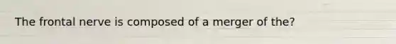 The frontal nerve is composed of a merger of the?