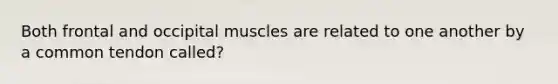 Both frontal and occipital muscles are related to one another by a common tendon called?