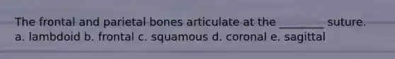 The frontal and parietal bones articulate at the ________ suture. a. lambdoid b. frontal c. squamous d. coronal e. sagittal