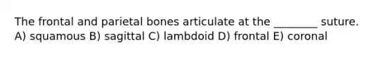 The frontal and parietal bones articulate at the ________ suture. A) squamous B) sagittal C) lambdoid D) frontal E) coronal
