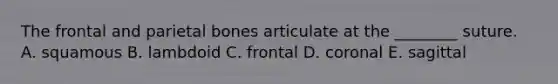 The frontal and parietal bones articulate at the ________ suture. A. squamous B. lambdoid C. frontal D. coronal E. sagittal