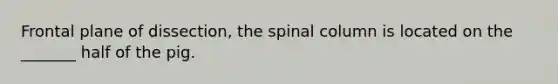 Frontal plane of dissection, the spinal column is located on the _______ half of the pig.