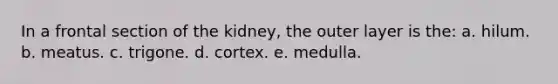 In a frontal section of the kidney, the outer layer is the: a. hilum. b. meatus. c. trigone. d. cortex. e. medulla.