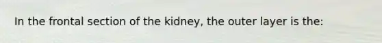 In the frontal section of the kidney, the outer layer is the: