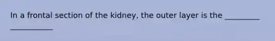 In a frontal section of the kidney, the outer layer is the _________ ___________