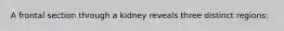 A frontal section through a kidney reveals three distinct regions: