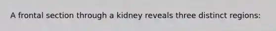 A frontal section through a kidney reveals three distinct regions: