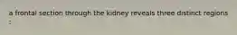 a frontal section through the kidney reveals three distinct regions :