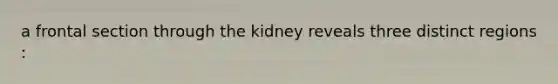 a frontal section through the kidney reveals three distinct regions :