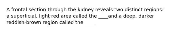 A frontal section through the kidney reveals two distinct regions: a superficial, light red area called the ____and a deep, darker reddish-brown region called the ____