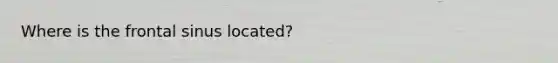 Where is the frontal sinus located?