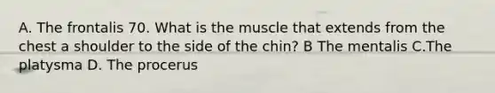 A. The frontalis 70. What is the muscle that extends from the chest a shoulder to the side of the chin? B The mentalis C.The platysma D. The procerus