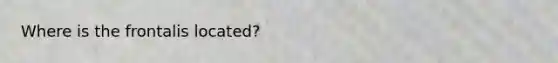 Where is the frontalis located?