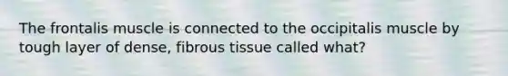 The frontalis muscle is connected to the occipitalis muscle by tough layer of dense, fibrous tissue called what?