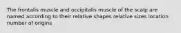 The frontalis muscle and occipitalis muscle of the scalp are named according to their relative shapes relative sizes location number of origins