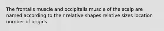 The frontalis muscle and occipitalis muscle of the scalp are named according to their relative shapes relative sizes location number of origins