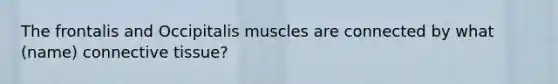 The frontalis and Occipitalis muscles are connected by what (name) connective tissue?