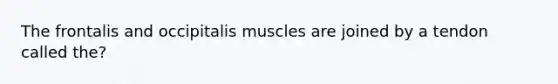 The frontalis and occipitalis muscles are joined by a tendon called the?