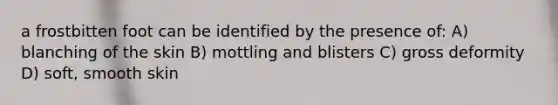 a frostbitten foot can be identified by the presence of: A) blanching of the skin B) mottling and blisters C) gross deformity D) soft, smooth skin