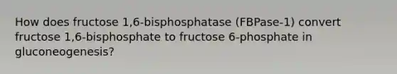 How does fructose 1,6-bisphosphatase (FBPase-1) convert fructose 1,6-bisphosphate to fructose 6-phosphate in gluconeogenesis?