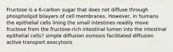 Fructose is a 6-carbon sugar that does not diffuse through phospholipid bilayers of cell membranes. However, in humans the epithelial cells lining the small intestines readily move fructose from the fructose-rich intestinal lumen into the intestinal epithelial cells? simple diffusion osmosis facilitated diffusion active transport exocytosis